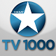 TV 1000